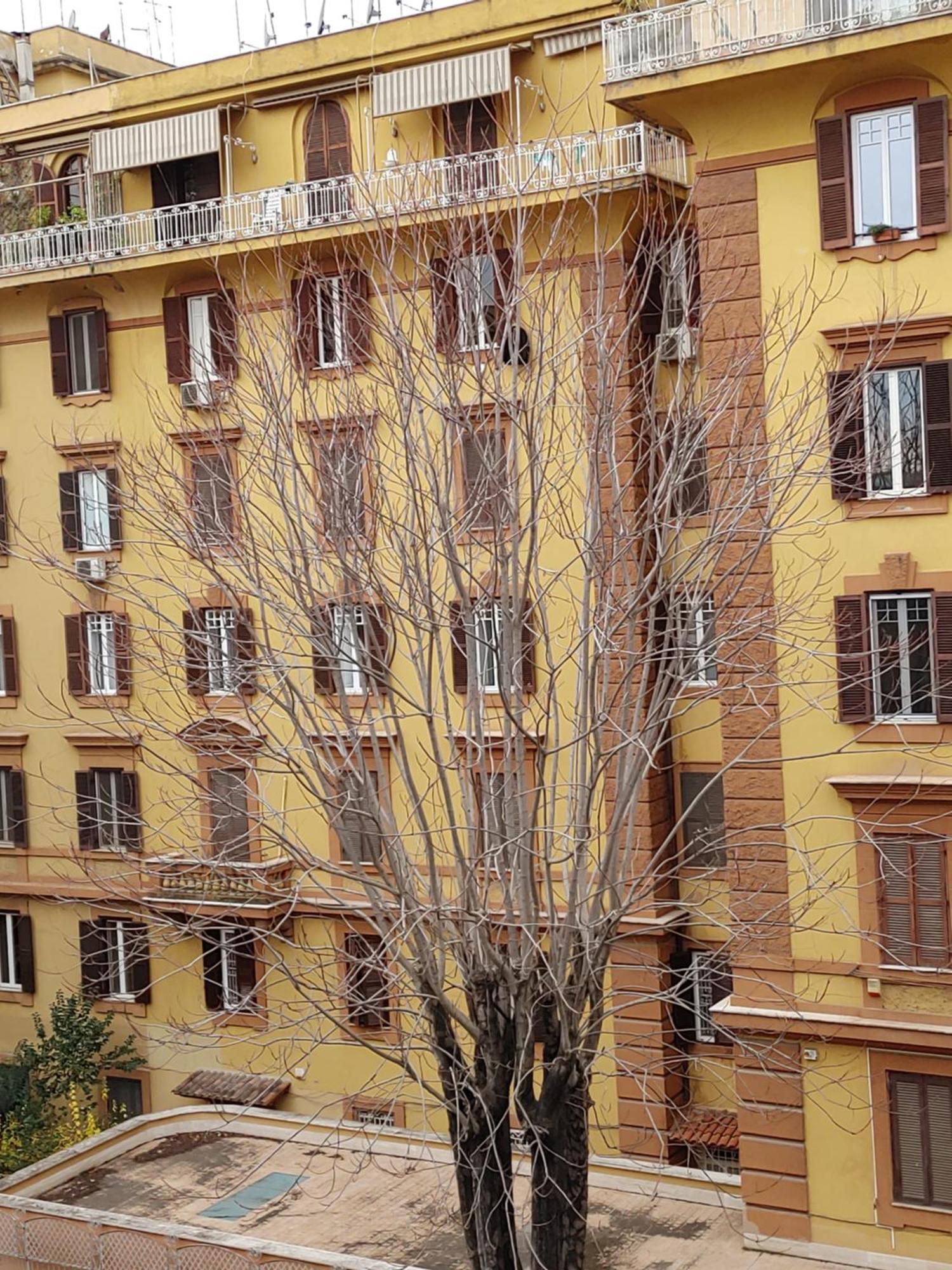 Studio Flat Trastevere Рим Екстер'єр фото